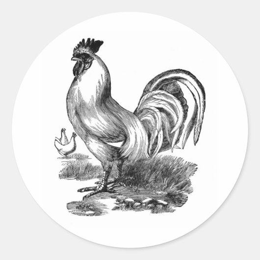 Antiquitätendruckerei Vintag Rooster Cockerel Runder Aufkleber (Vorderseite)
