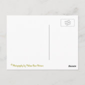 Antiquitätenflugzeug Postkarte (Rückseite)