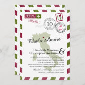 Antiquitätenflugzeug Verona Italien | Brautparty Einladung (Vorne/Hinten)