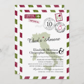 Antiquitätenflugzeug Verona Italien | Brautparty Einladung (Vorne/Hinten)