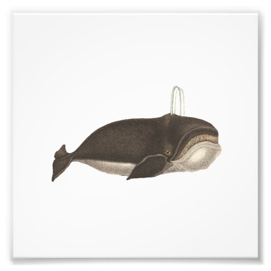 Antiquitätengravur Fotodruck (Vorne)