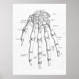 Antiquitätenhandknochen Vintage Poster