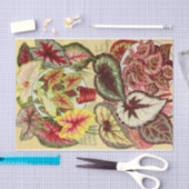 Antiquitätenkaladien und Rex Begonia Gewebe Papier (Handwerk)