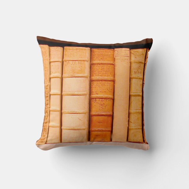 Antiquitätenkissen aus Leder aus dem 17. Jahrhunde Kissen (Vorderseite)