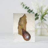 Antiquitätenkolben Postkarte (Stehend Vorderseite)