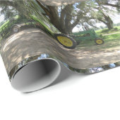 Antiquitätenpapier Geschenkpapier (Rolleneckpunkt)