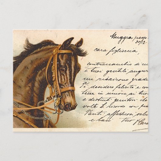 Antiquitätenpferd Postkarte (Vorderseite)