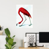 Antiquitätenplatte Amerikanischer Flamingo Audubon Poster (Heimbüro)