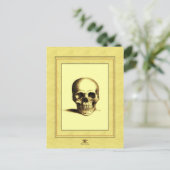 Antiquitätenschädel Postkarte (Stehend Vorderseite)