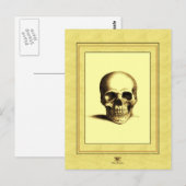 Antiquitätenschädel Postkarte (Vorne/Hinten)