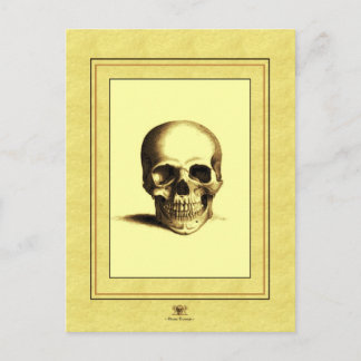Antiquitätenschädel Postkarte