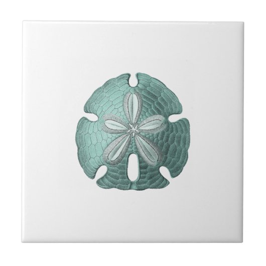 Antiquitätensee-Sand-Dollar-Illustration Fliese (Vorderseite)