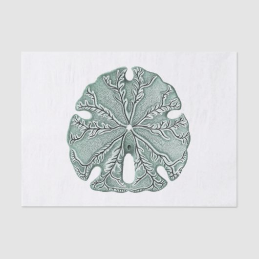 Antiquitätensee-Sand-Dollar-Illustration Seidenpapier (Vorderseite)