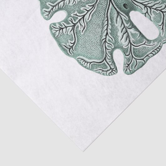 Antiquitätensee-Sand-Dollar-Illustration Seidenpapier