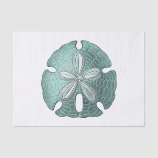 Antiquitätensee-Sand-Dollar-Illustration Seidenpapier (Vorderseite)