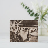 Antiquitätensehendes Foto Postkarte (Stehend Vorderseite)