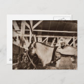 Antiquitätensehendes Foto Postkarte (Vorne/Hinten)