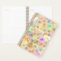 Antiquitätenstudien von Kopf, Hand, Ohren und Auge