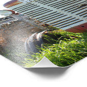 Antiquitätentraktor Fotodruck (Ecke)