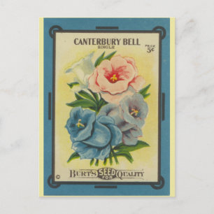 Antiquitätenverpackung Canterbury Bells Postkarte