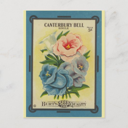 Antiquitätenverpackung Canterbury Bells Postkarte (Vorderseite)