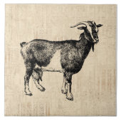 Antiquitätenzieger-Illustration mit Skriptuntergru Fliese (Vorderseite)