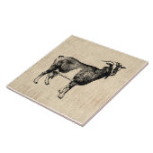 Antiquitätenzieger-Illustration mit Skriptuntergru Fliese (Seite)