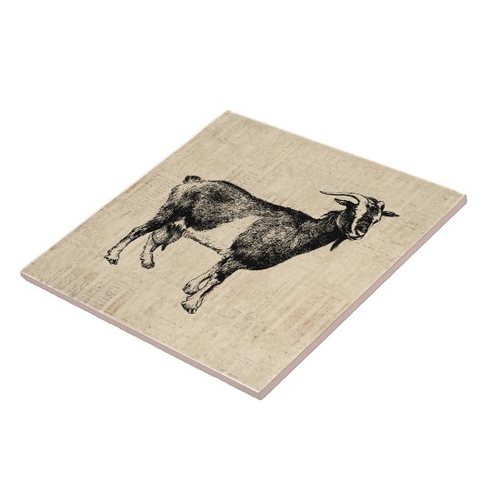 Antiquitätenzieger-Illustration mit Skriptuntergru Fliese (Seite)