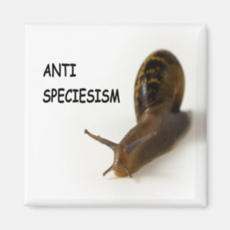 Antispektivmagnet Magnet
