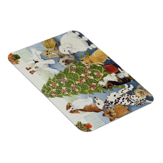 Antizipation Magnet (Rechte Seite)