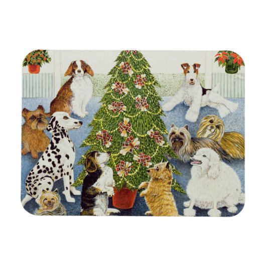 Antizipation Magnet (Horizontal)