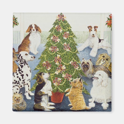 Antizipation Magnet (Vorne)