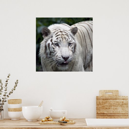 Antizipation Poster (Küche)