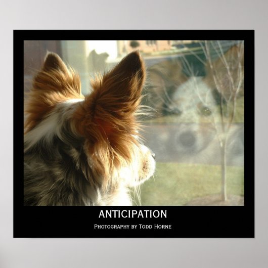 Antizipation Poster (Vorne)