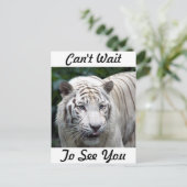 Antizipation Postkarte (Stehend Vorderseite)