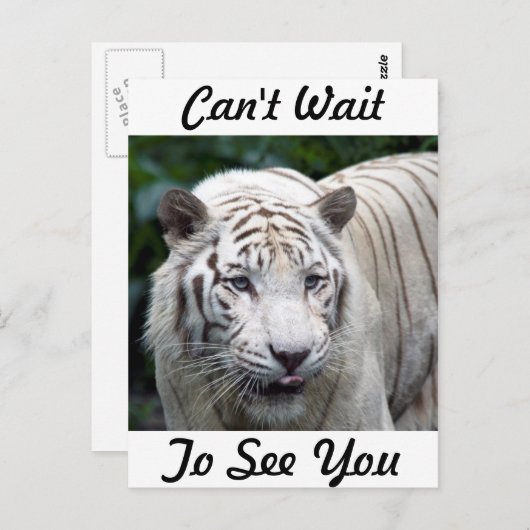 Antizipation Postkarte (Vorne/Hinten)