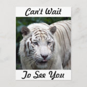 Antizipation Postkarte (Vorderseite)