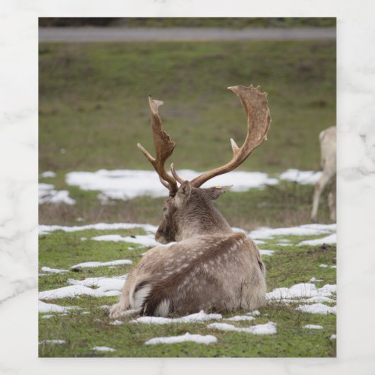 Antler Weinetikett (Einzelnes Label)