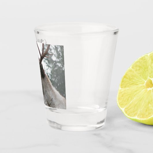 Antlertes Kariou-Foto Schnapsglas (Rechts)