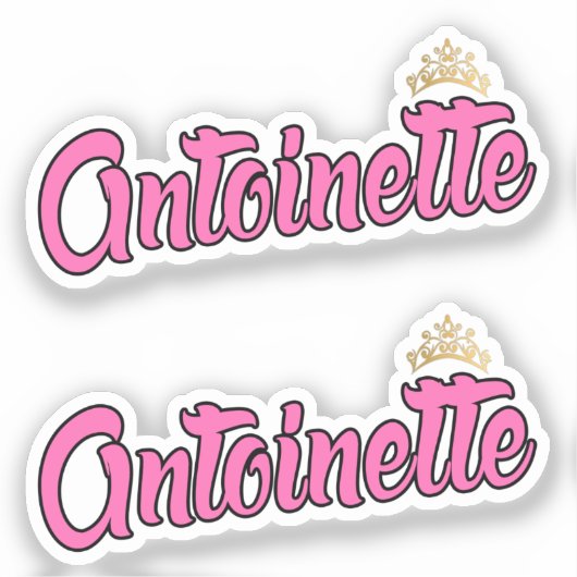 Antoinette Pink Name x2 Vinyl Aufkleber (Vorderseite)