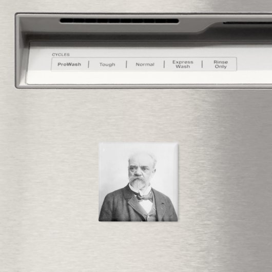 Anton Dvorak Magnet (In Situ (Geschirrspüler))