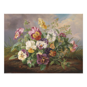 Anton Mollis Vintag Pansy Fotodruck