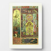 Anton Seder-Meereswelt-Tafel mit Aasel Fotoplatte (Vorderseite)