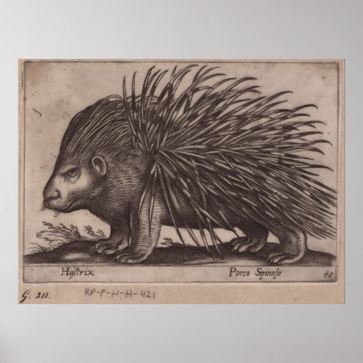 Antonio Tempesta - Stekelvarken - Porco Spinoso Poster (Vorne)