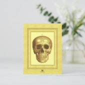 Antque Skull Postkarte (Stehend Vorderseite)
