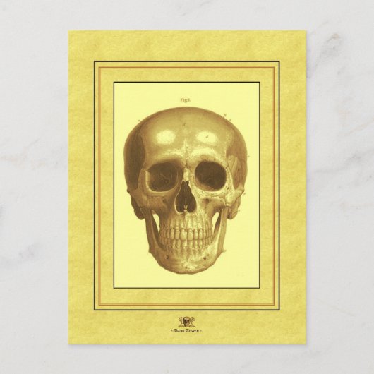 Antque Skull Postkarte (Vorderseite)