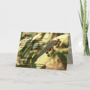 Ants & Attitude - Grußkarte Nr. 2 Karte