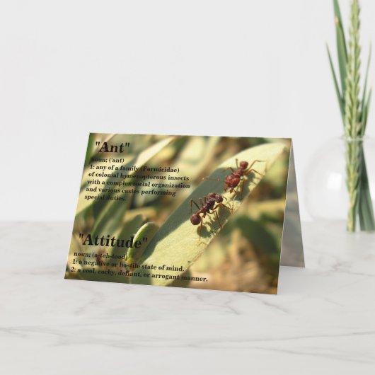 Ants & Attitude - Grußkarte Nr. 2 Karte (Vorderseite)