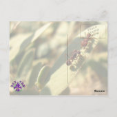 Ants & Attitude - Postkarte #1 (Rückseite)