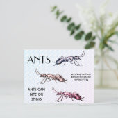 Ants Insects beugt Creepy Crawly Creatures Postkarte (Stehend Vorderseite)